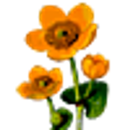 Nasturtiums emoji