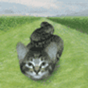 Snake Cat emoji