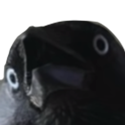 Birb Gasp emoji