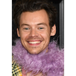 Harry Styles emoji