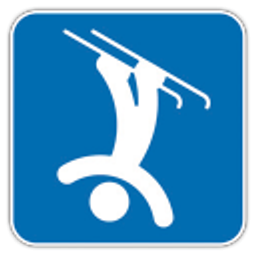Freestyle Skiing emoji