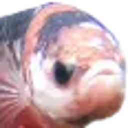 Fishyfishy emoji