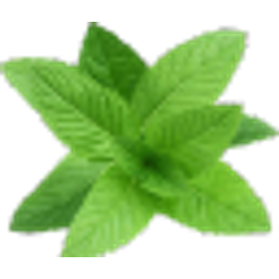 Mint Leaf emoji