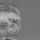 Gigasloth emoji