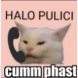 Cat Policeq emoji