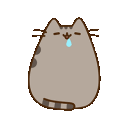 Pusheendrool emoji