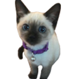 Kitten emoji
