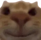 Smilestare emoji
