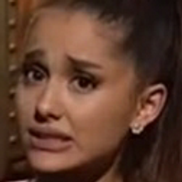 Ari Snl emoji