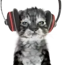 Catnotl emoji