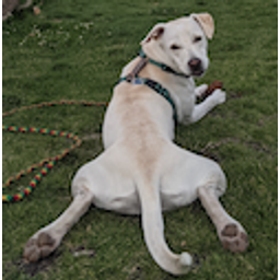 Dogsploot emoji