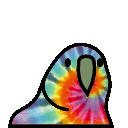 Tie Dye Parrot emoji