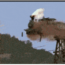 Off The Rails emoji