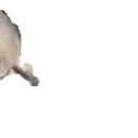 Sealarrive emoji