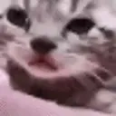 Catcrying emoji