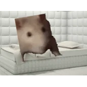 Crazyiwascrazyoncetheyputmeinaroomarubberroomarubberroomfilledwithratsratsmakemegocrazy emoji