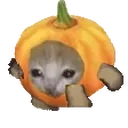 Pumpkincatrun emoji