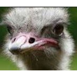 Anemu emoji