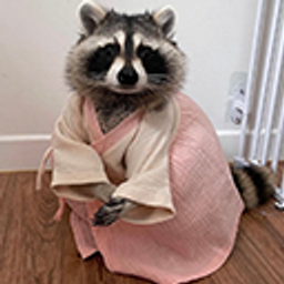 Kimonoraccoon emoji