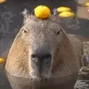 Capybarastare emoji