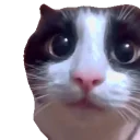 Umm emoji