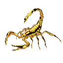 Scorpion emoji