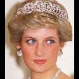 Princess Diana emoji
