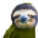 Rare Sloth emoji