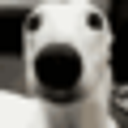 Shivering Dog emoji