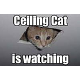Ceilingcatwatching emoji