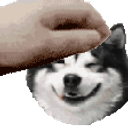 Husky Pet emoji