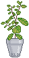 Mint Plant emoji