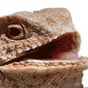 Hhhehehe emoji