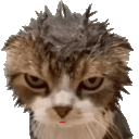 Wetcattongue emoji
