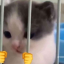 Catserving30yearsinprisionforfirstdegreearson emoji