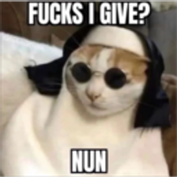 Fucksnun emoji