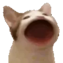 Popcat emoji