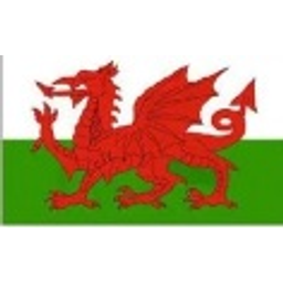 Welshdragon emoji