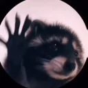 Raccoondance emoji