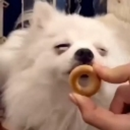 Doglick emoji