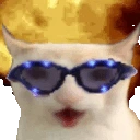 Catchesting emoji