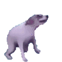 Catioro emoji