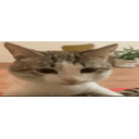 Bruuuuuuuuuuuuuuuuuuuuuuuuh emoji