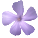 Violet emoji