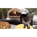 Catmakingpizza emoji