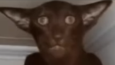 Strashno emoji