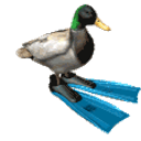 Duck Spin emoji