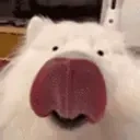 Verydog emoji