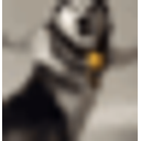 Huskydog Dance emoji