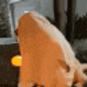 Spooky Dog emoji